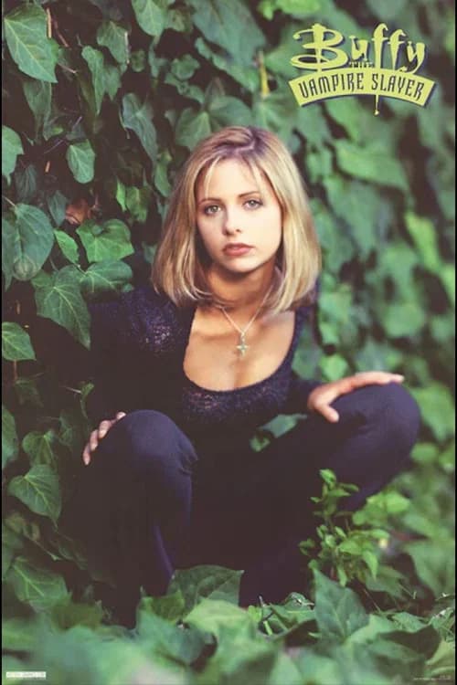 Buffy the Vampire Slayer
