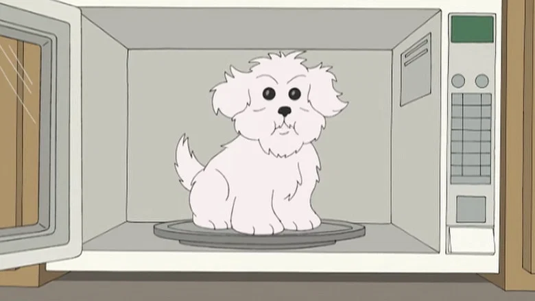 What Happens if You Feed a Dog Chocolate While He Wears a Tin Foil Hat in the Microwave